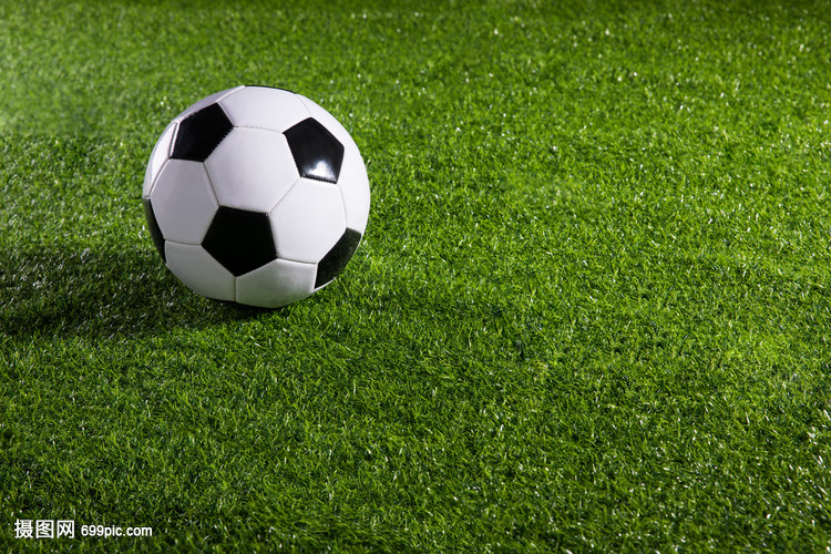 世界杯：荷兰VS卡塔尔_王皓瑞_专家方案_足球预测_球伴体育